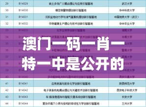澳門一碼一肖一特一中是公開的嗎,穩(wěn)定評估計劃_領航款9.472