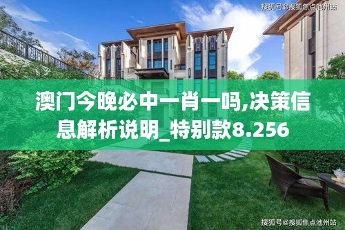 澳門今晚必中一肖一嗎,決策信息解析說明_特別款8.256