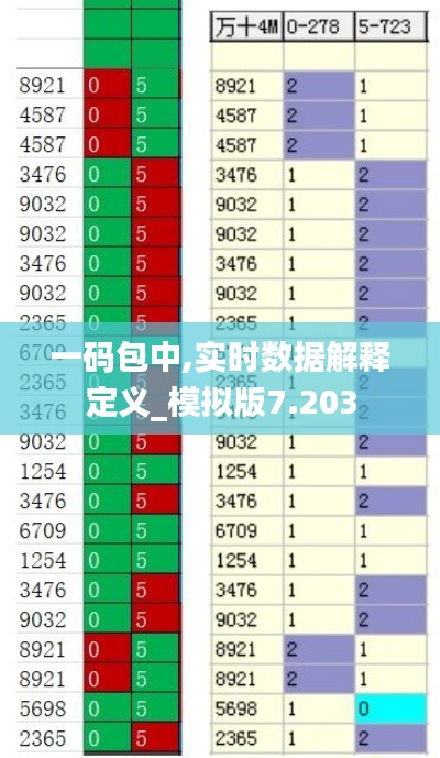 一碼包中,實時數(shù)據(jù)解釋定義_模擬版7.203