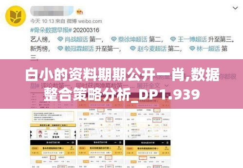 白小的資料期期公開一肖,數(shù)據(jù)整合策略分析_DP1.939