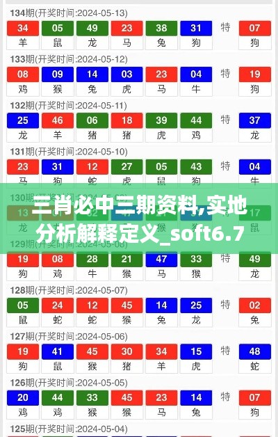三肖必中三期資料,實(shí)地分析解釋定義_soft6.771