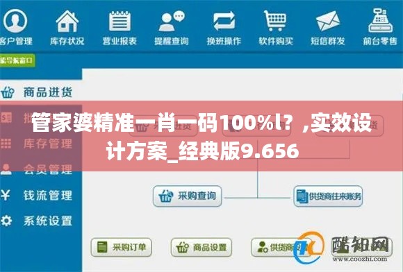 管家婆精準(zhǔn)一肖一碼100%l？,實(shí)效設(shè)計(jì)方案_經(jīng)典版9.656