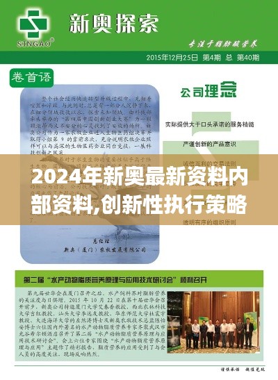 2024年新奧最新資料內(nèi)部資料,創(chuàng)新性執(zhí)行策略規(guī)劃_RemixOS9.964