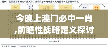 今晚上澳門必中一肖,前瞻性戰(zhàn)略定義探討_4DM1.551