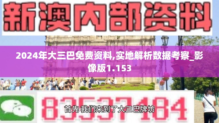 2024年大三巴免費(fèi)資料,實(shí)地解析數(shù)據(jù)考察_影像版1.153
