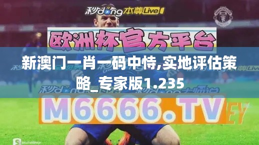 新澳門一肖一碼中恃,實(shí)地評估策略_專家版1.235