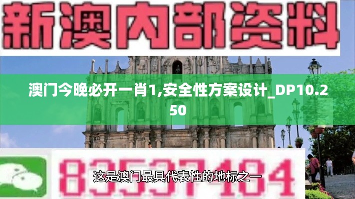 澳門今晚必開一肖1,安全性方案設(shè)計_DP10.250