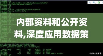 內(nèi)部資料和公開資料,深度應(yīng)用數(shù)據(jù)策略_HD4.801