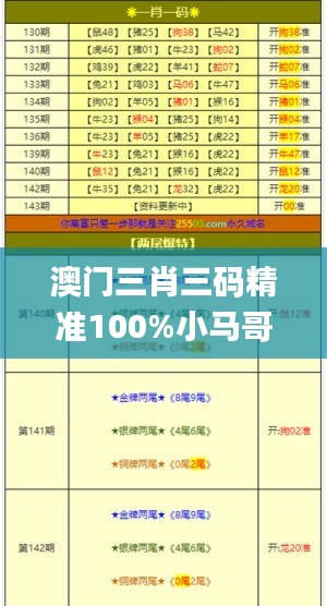 澳門三肖三碼精準(zhǔn)100%小馬哥,實時解答解釋定義_潮流版8.686