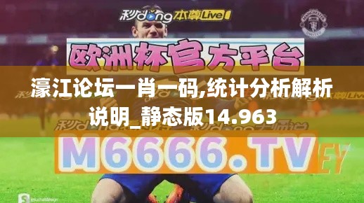 濠江論壇一肖一碼,統(tǒng)計分析解析說明_靜態(tài)版14.963