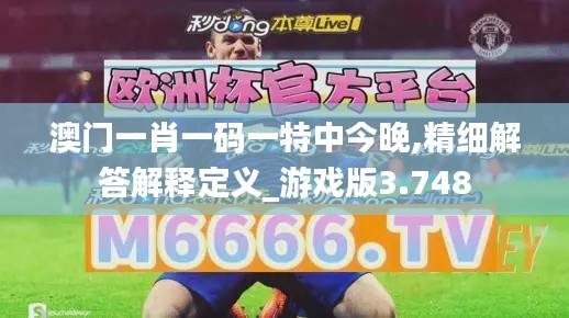 澳門(mén)一肖一碼一特中今晚,精細(xì)解答解釋定義_游戲版3.748