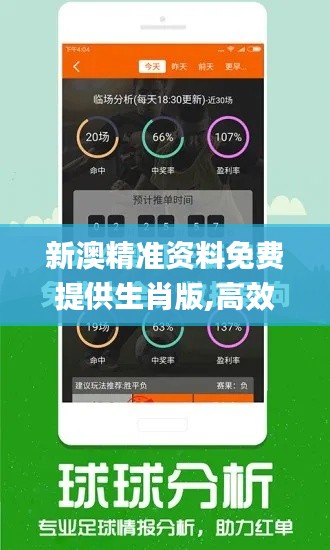 新澳精準資料免費提供生肖版,高效計劃設計_bundle6.378