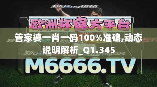 管家婆一肖一碼100%準(zhǔn)確,動(dòng)態(tài)說(shuō)明解析_Q1.345