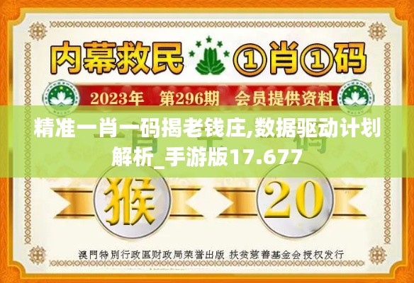 精準(zhǔn)一肖一碼揭老錢莊,數(shù)據(jù)驅(qū)動(dòng)計(jì)劃解析_手游版17.677