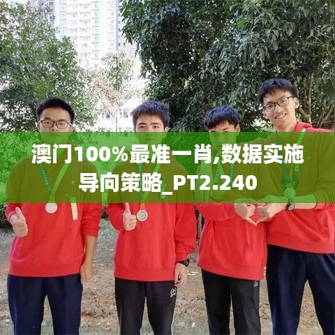 澳門(mén)100%最準(zhǔn)一肖,數(shù)據(jù)實(shí)施導(dǎo)向策略_PT2.240