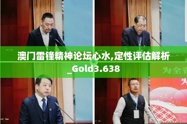澳門雷鋒精神論壇心水,定性評估解析_Gold3.638