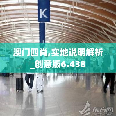 澳門四肖,實(shí)地說明解析_創(chuàng)意版6.438