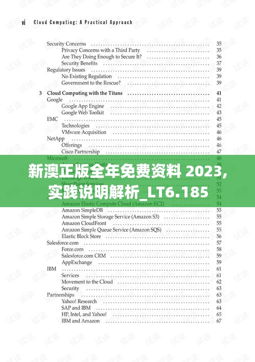 新澳正版全年免費(fèi)資料 2023,實(shí)踐說明解析_LT6.185