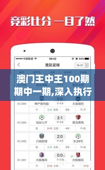 澳門王中王100期期中一期,深入執(zhí)行數(shù)據(jù)應(yīng)用_視頻版2.381