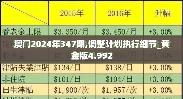 澳門2024年347期,調(diào)整計劃執(zhí)行細節(jié)_黃金版4.992