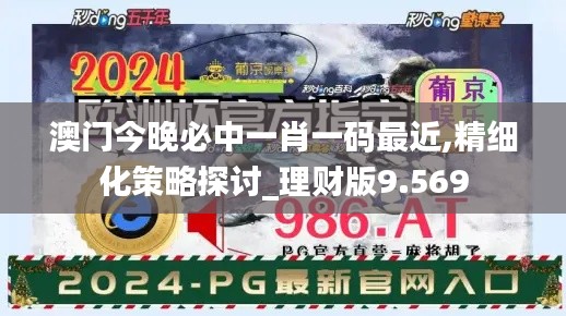 澳門今晚必中一肖一碼最近,精細化策略探討_理財版9.569