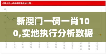 新澳門一碼一肖100,實(shí)地執(zhí)行分析數(shù)據(jù)_DX版4.639