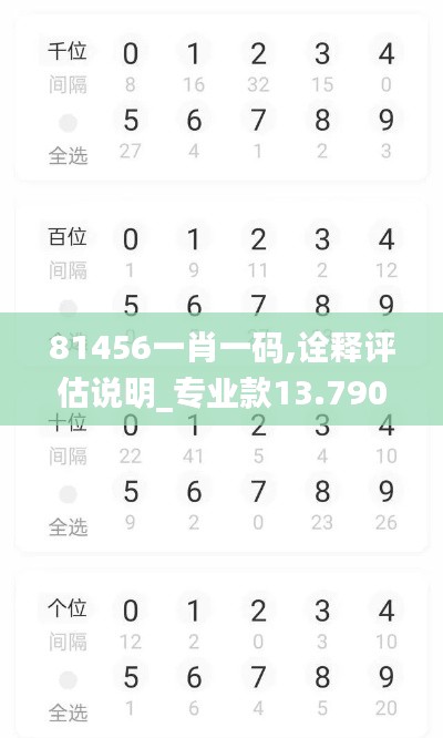 81456一肖一碼,詮釋評估說明_專業(yè)款13.790