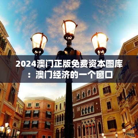 2024澳門正版免費資本圖庫：澳門經(jīng)濟的一個窗口