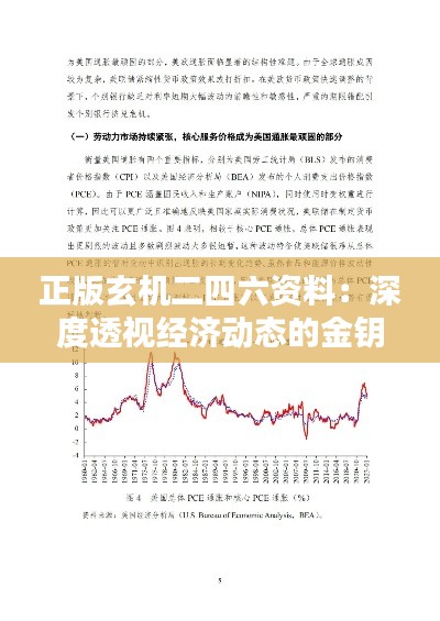 正版玄機二四六資料：深度透視經(jīng)濟動態(tài)的金鑰匙