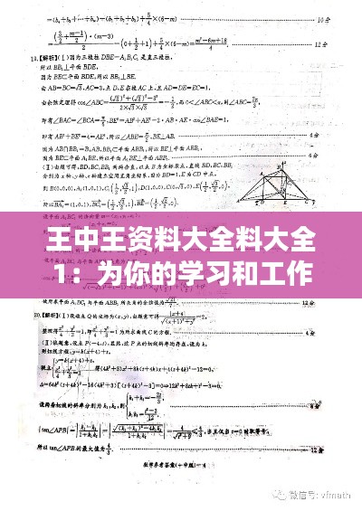 王中王資料大全料大全1：為你的學(xué)習(xí)和工作助力