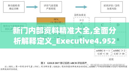 新門內(nèi)部資料精準(zhǔn)大全,全面分析解釋定義_Executive4.952