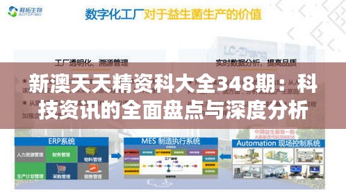 半截鳥(niǎo)木 第4頁(yè)