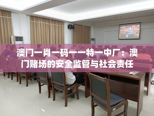 澳門一肖一碼一一特一中廠：澳門賭場(chǎng)的安全監(jiān)管與社會(huì)責(zé)任