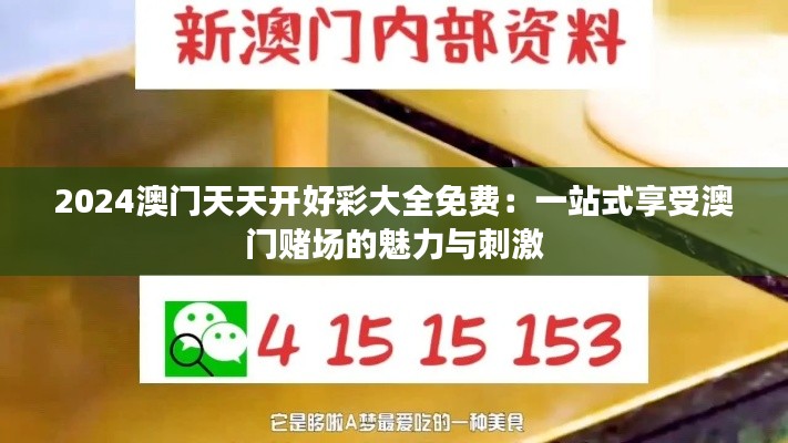 2024澳門天天開好彩大全免費(fèi)：一站式享受澳門賭場(chǎng)的魅力與刺激