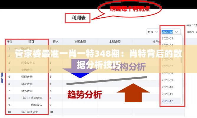 管家婆最準一肖一特348期：肖特背后的數(shù)據(jù)分析技巧