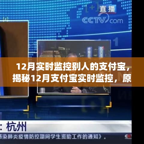 揭秘支付寶實(shí)時監(jiān)控，原理、應(yīng)用與注意事項(xiàng)（12月專版）