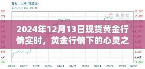 黃金行情下的心靈之旅，探尋黃金行情實時變化與內心平靜的黃金探險之旅（2024年12月13日）
