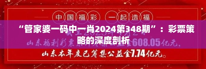 “管家婆一碼中一肖2024第348期”：彩票策略的深度剖析