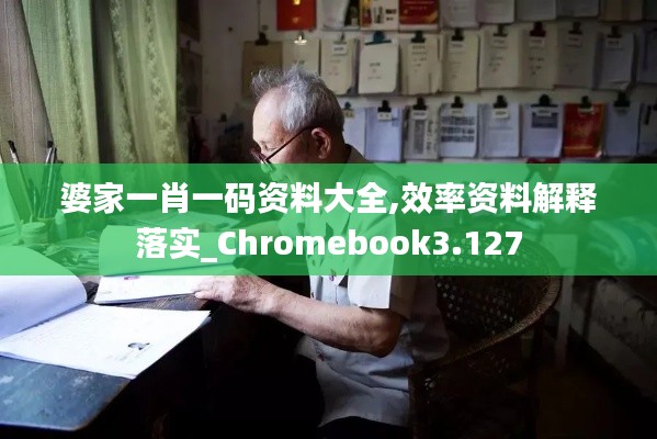 婆家一肖一碼資料大全,效率資料解釋落實(shí)_Chromebook3.127