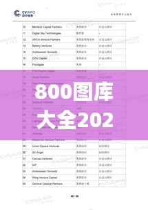 800圖庫大全2024年11月港澳,問題總結(jié)執(zhí)行方案_X4.770