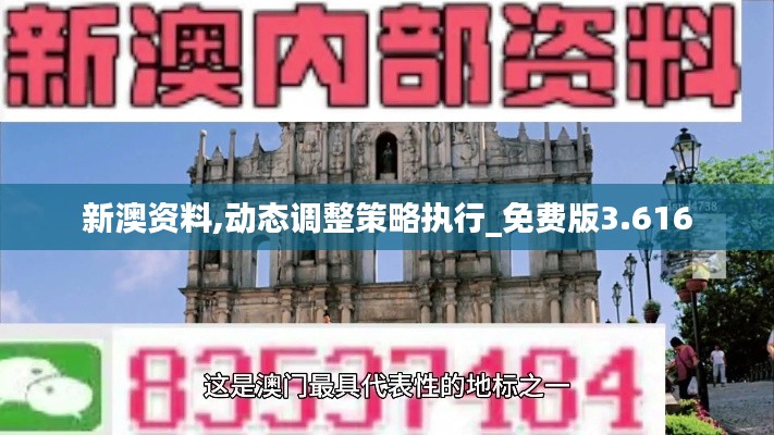 新澳資料,動(dòng)態(tài)調(diào)整策略執(zhí)行_免費(fèi)版3.616
