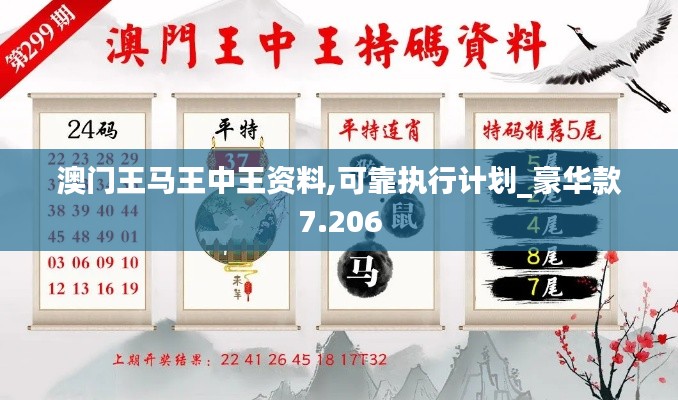 澳門王馬王中王資料,可靠執(zhí)行計劃_豪華款7.206