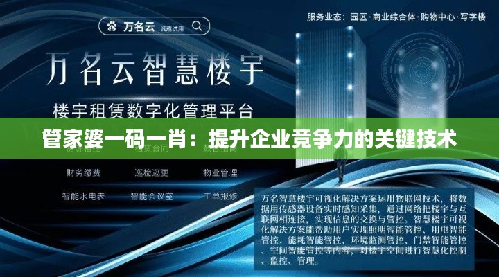 管家婆一碼一肖：提升企業(yè)競(jìng)爭(zhēng)力的關(guān)鍵技術(shù)