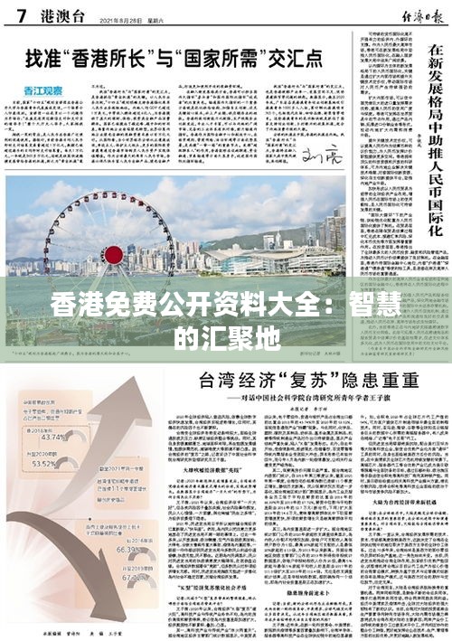 香港免費公開資料大全：智慧的匯聚地