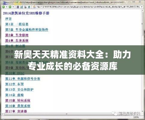 新奧天天精準資料大全：助力專業(yè)成長的必備資源庫