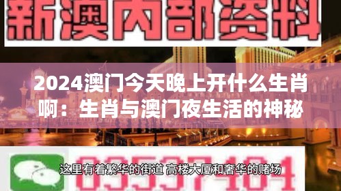2024澳門(mén)今天晚上開(kāi)什么生肖?。荷づc澳門(mén)夜生活的神秘聯(lián)系
