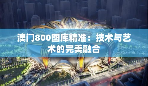 澳門800圖庫(kù)精準(zhǔn)：技術(shù)與藝術(shù)的完美融合