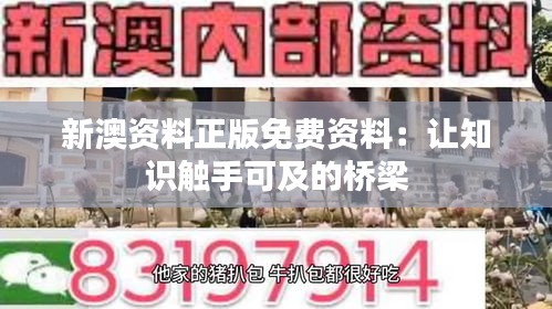新澳資料正版免費(fèi)資料：讓知識(shí)觸手可及的橋梁