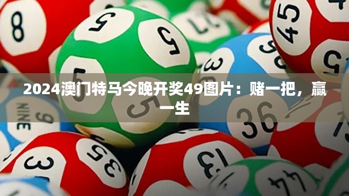 2024澳門特馬今晚開獎49圖片：賭一把，贏一生