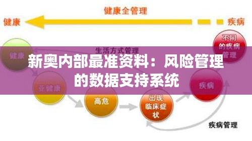 新奧內(nèi)部最準(zhǔn)資料：風(fēng)險管理的數(shù)據(jù)支持系統(tǒng)